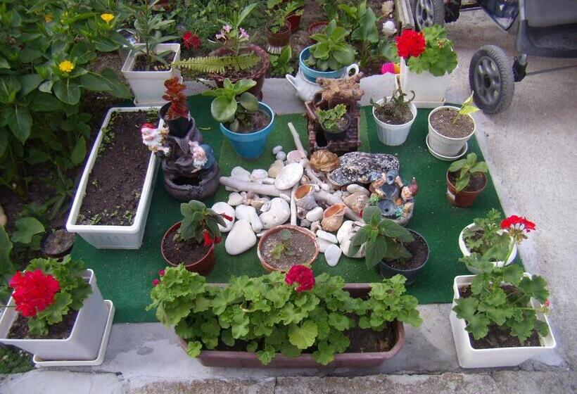 بنسيون Guest Rooms Kotvаta