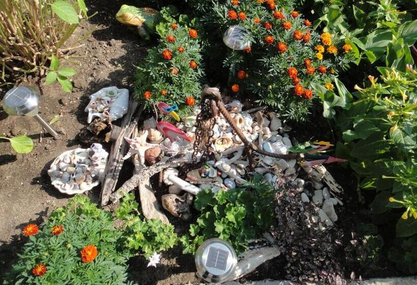 بنسيون Guest Rooms Kotvаta