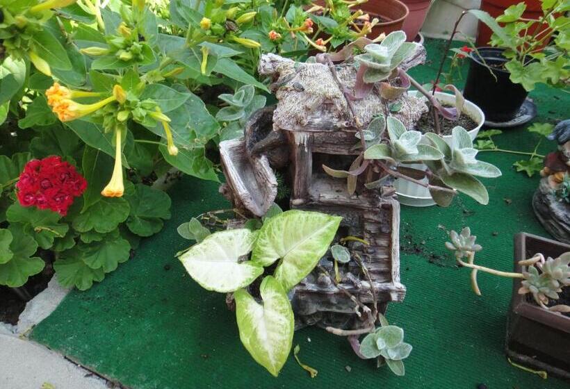 بنسيون Guest Rooms Kotvаta