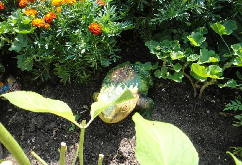 بنسيون Guest Rooms Kotvаta