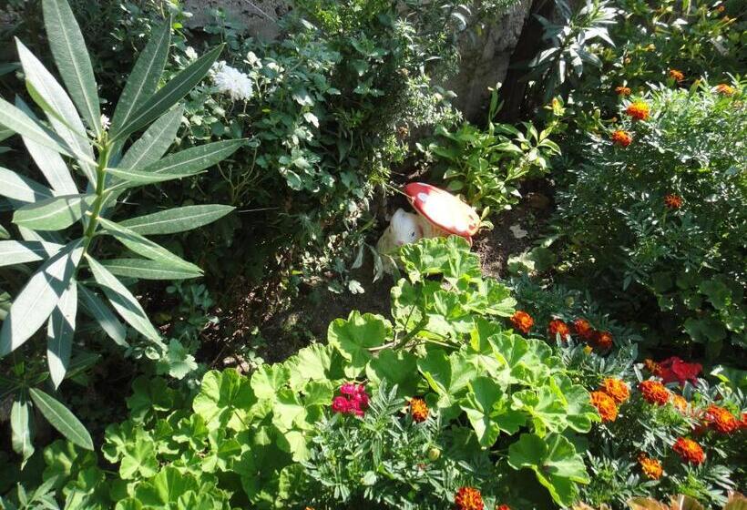 بنسيون Guest Rooms Kotvаta