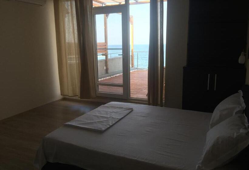 펜션 Vila Brandusa