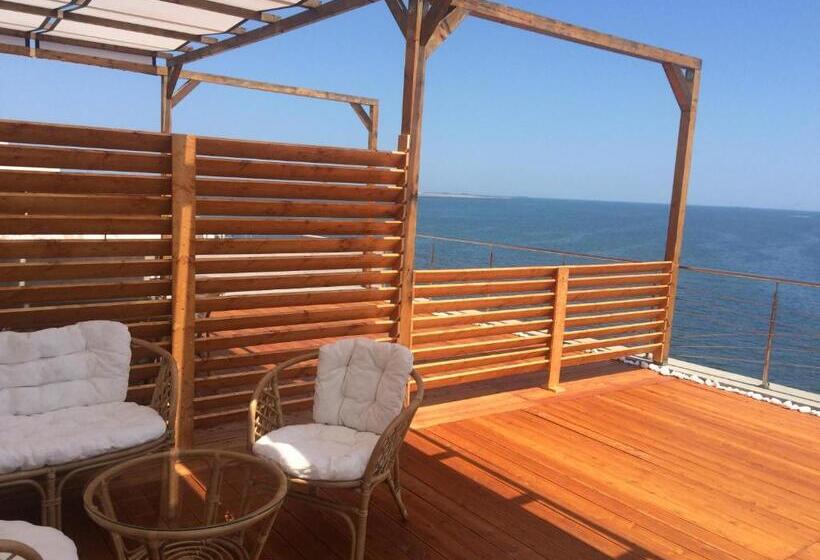 펜션 Vila Brandusa