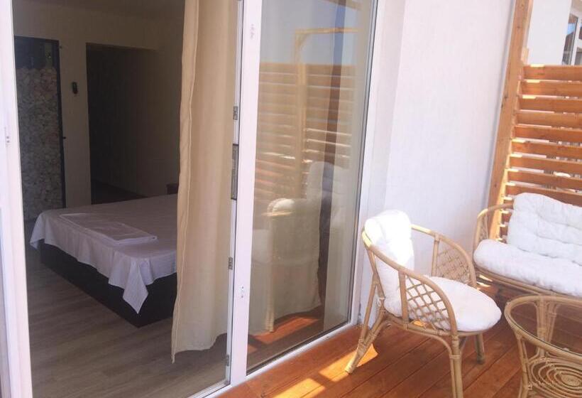 펜션 Vila Brandusa