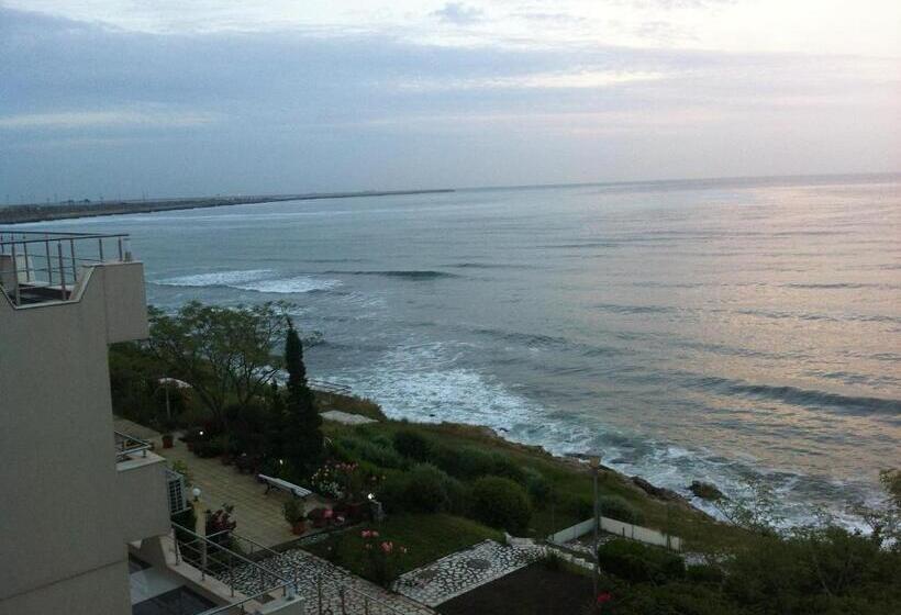 펜션 Vila Brandusa