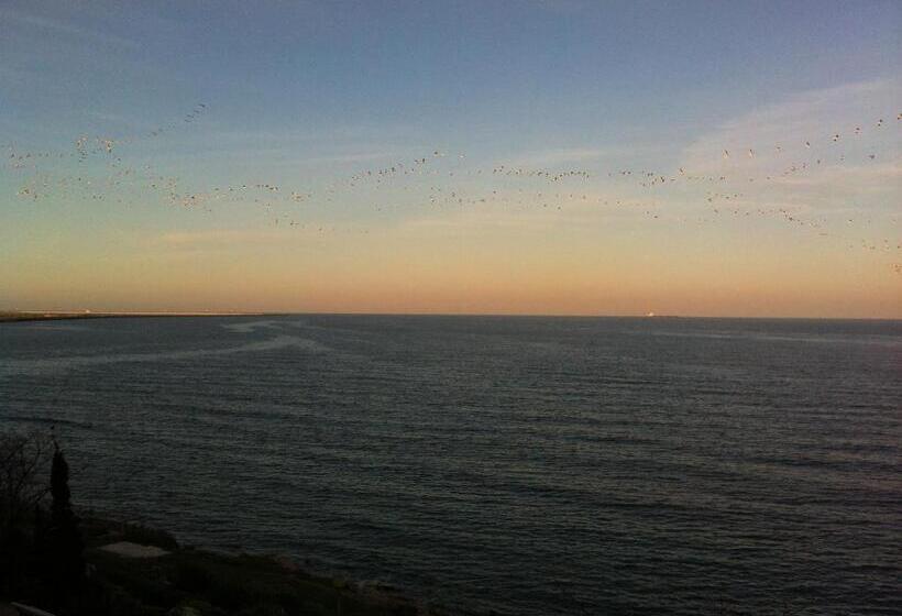 펜션 Vila Brandusa