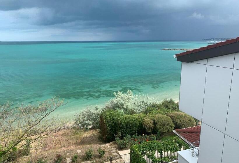 펜션 Vila Brandusa