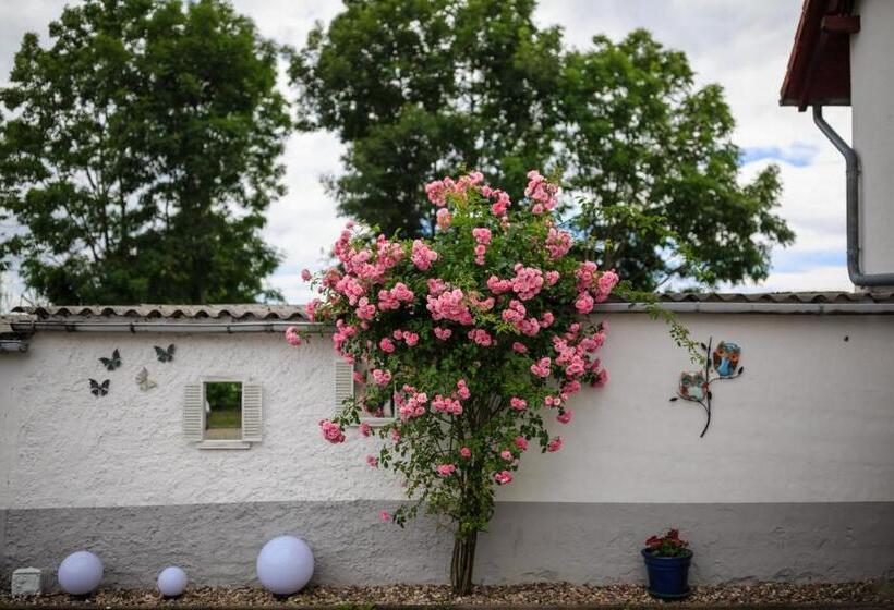 مبيت وإفطار Pension Am Rosarium