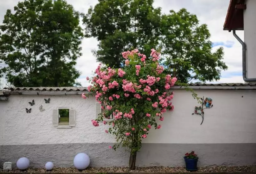 Bed and Breakfast Pension Am Rosarium