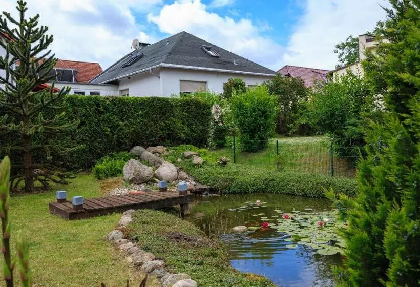 Bed and Breakfast Pension Am Rosarium