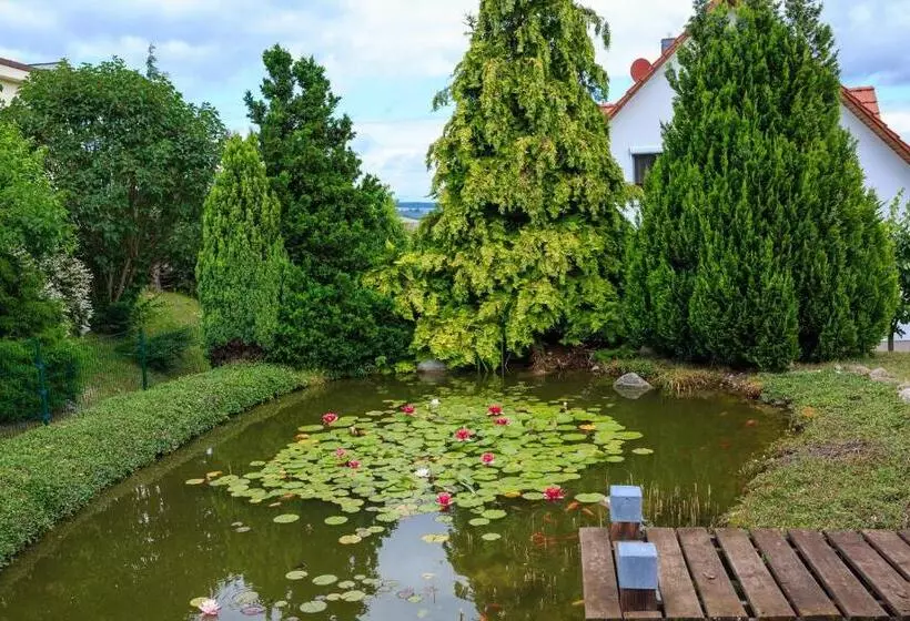 Bed and Breakfast Pension Am Rosarium