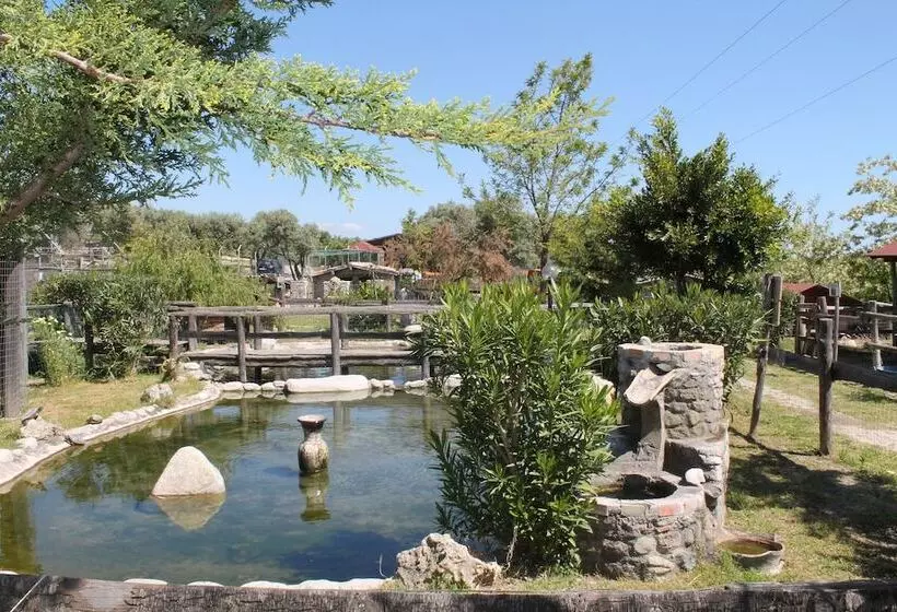 ホテル Agriturismo Fassi