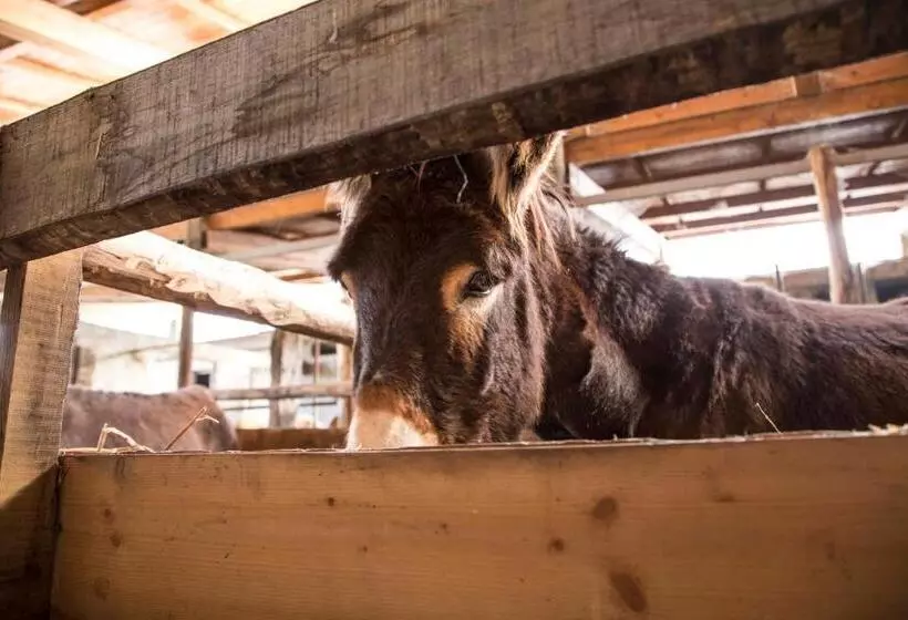 ホテル Agriturismo Fassi