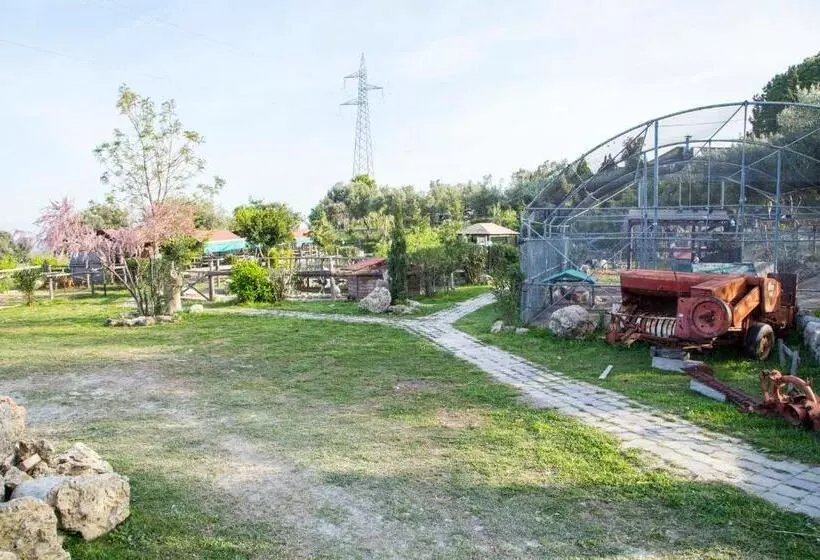 ホテル Agriturismo Fassi