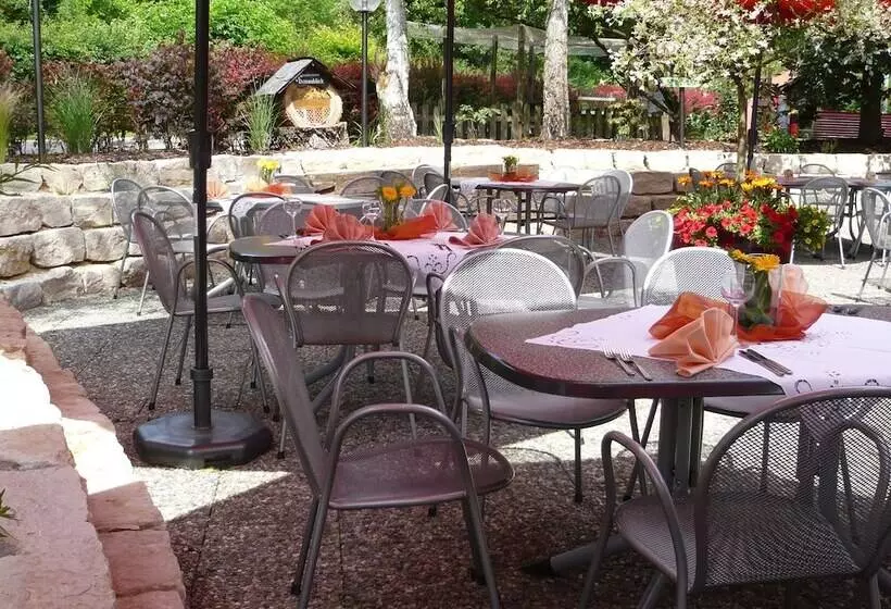 Отель Donaublick