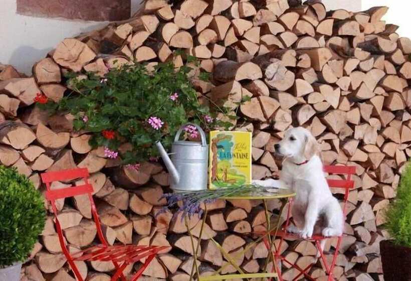 Отель Hôtel Panorama