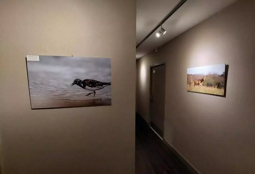 Отель Logis Hôtel   Les Pasteliers