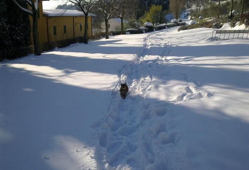 فندق Relais Il Trebbiolo