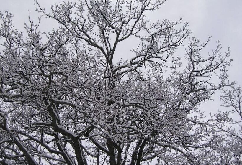 فندق Relais Il Trebbiolo