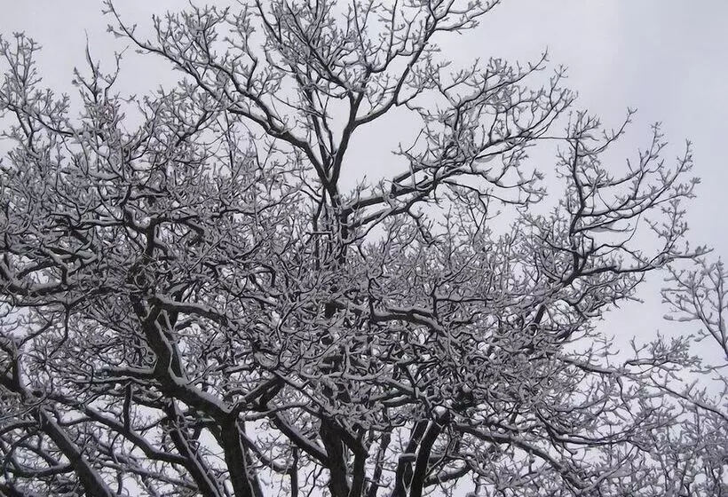 Отель Relais Il Trebbiolo