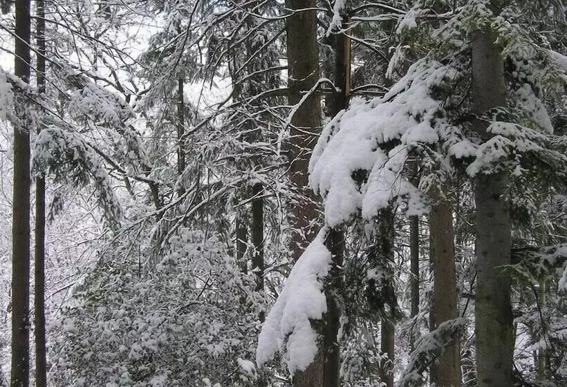 Отель Relais Il Trebbiolo