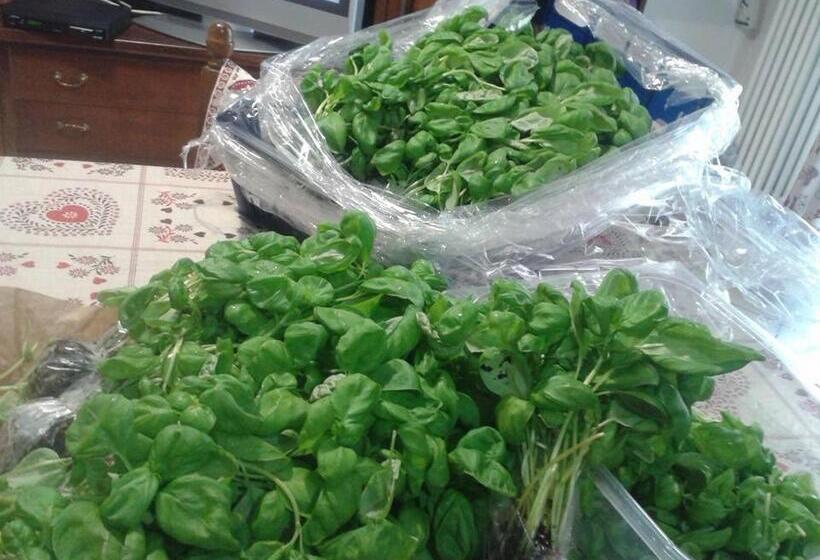 فندق Sonno D Autore