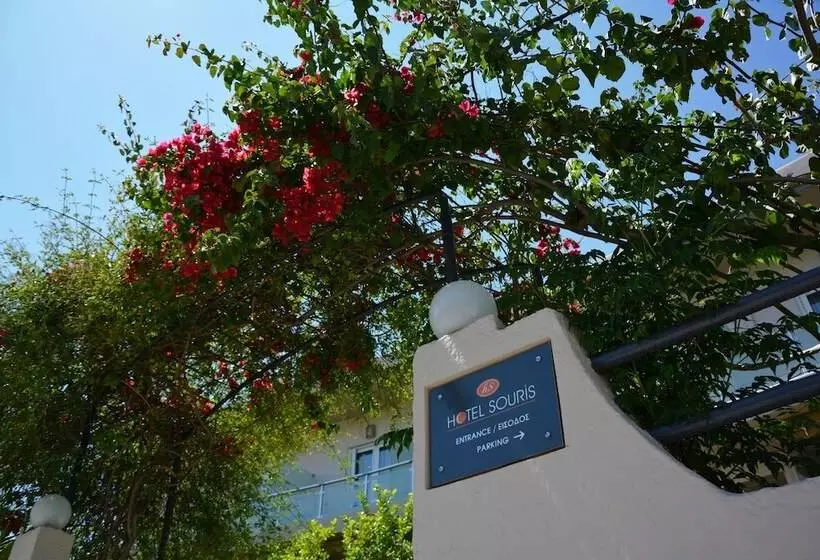 Hotel Souris