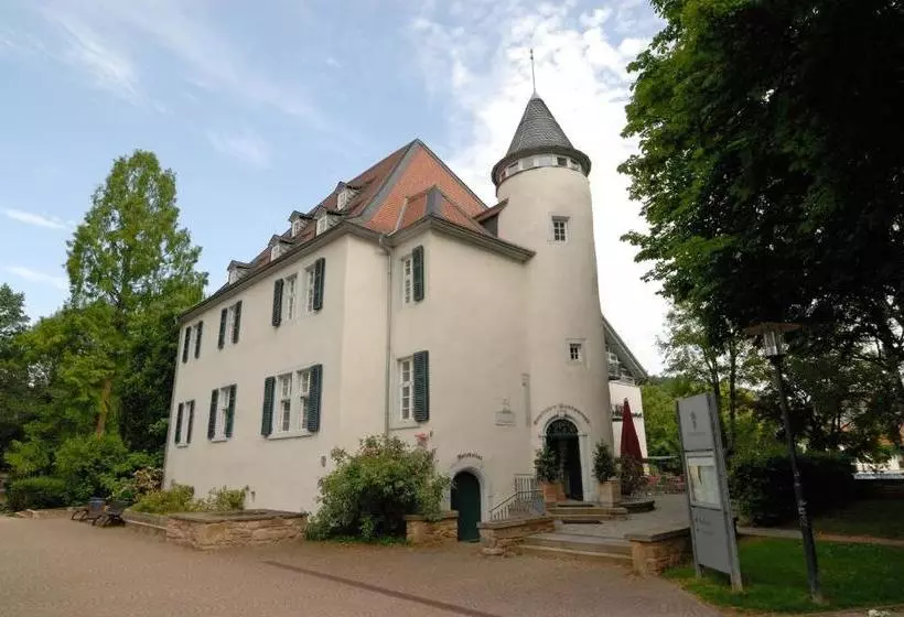 בית מלון כפרי Schloss Rockenhausen