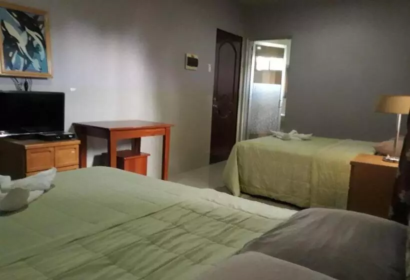 ユースホステル Bnt Inn