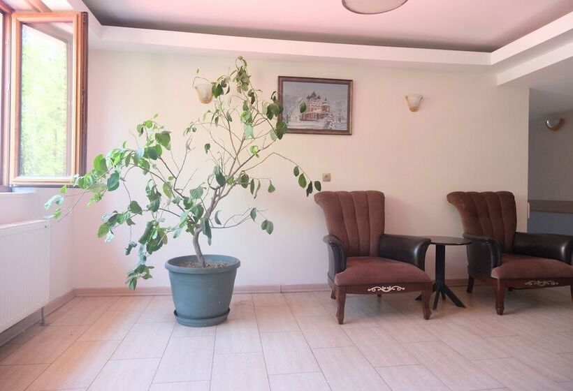 Отель Arapgir Nazar