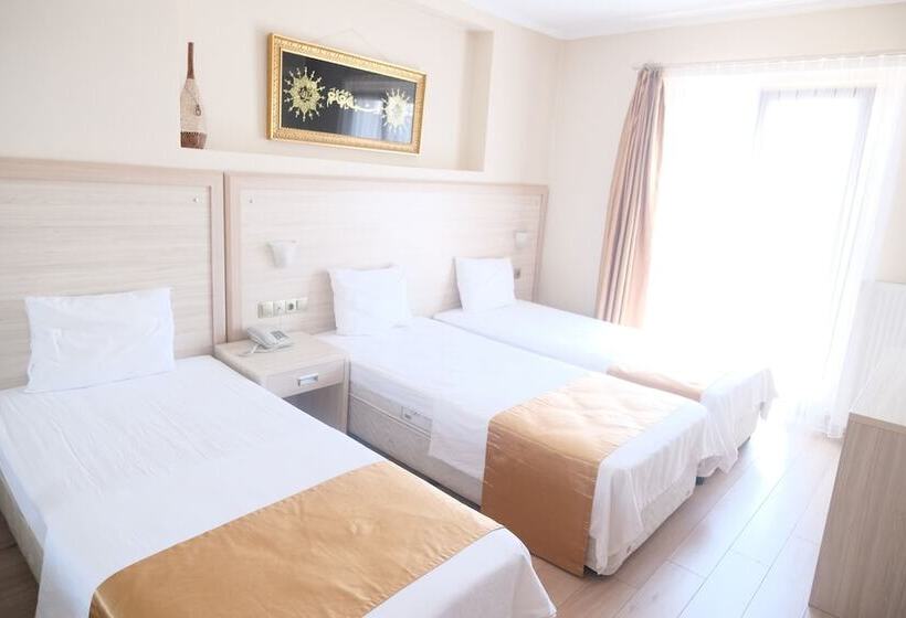 Отель Arapgir Nazar