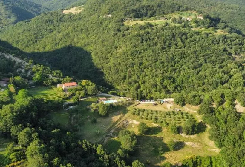 Il Colle   Apartment Pino