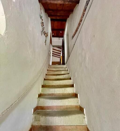 Il Colle   Apartment Pino