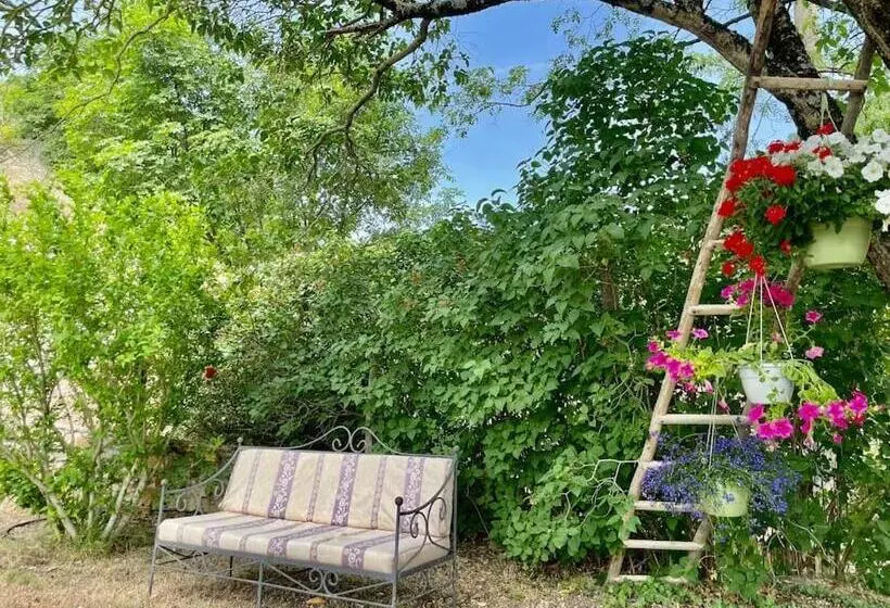 Il Colle   Apartment Pino