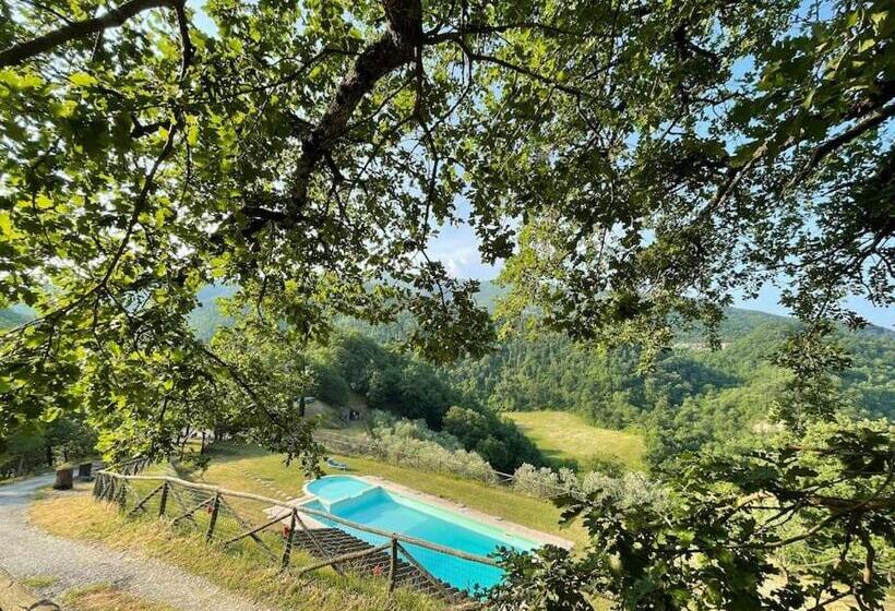 Il Colle   Apartment Pino