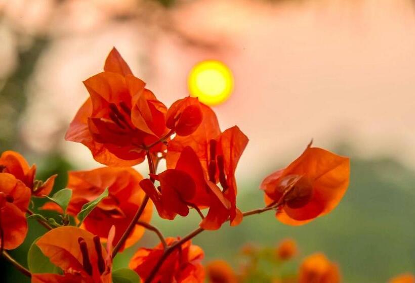 Pura Villa  Buganvillas Ayamonte