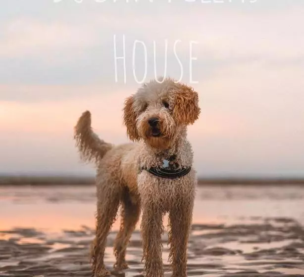 Pura Villa  Buganvillas Ayamonte