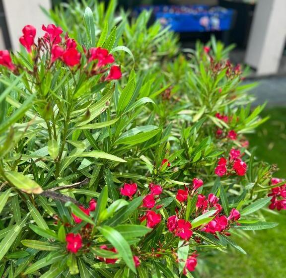 Spa & Wellness Hotel Orchidea