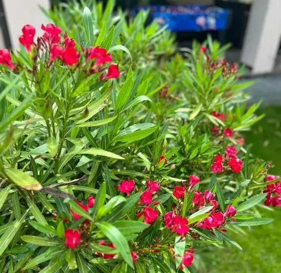 Spa & Wellness Hotel Orchidea