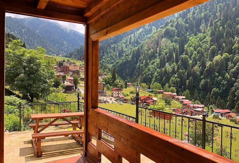 Ayder Yardımcı Apart