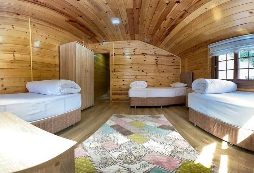 Ayder Yardımcı Apart