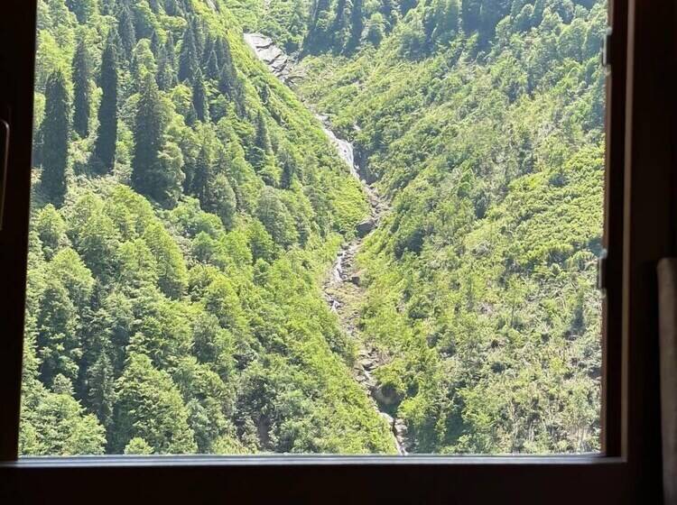 Ayder Yardımcı Apart