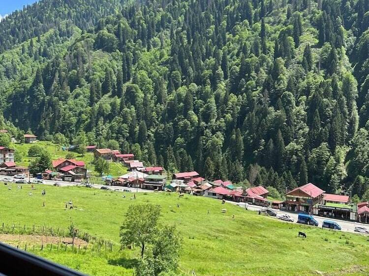 Ayder Yardımcı Apart