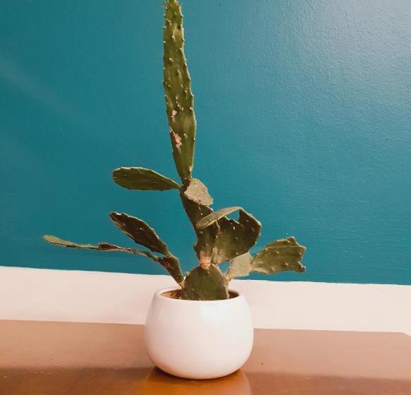 هتل Sapa New Orient