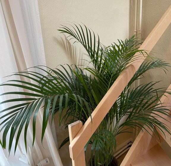 Le 25, Duplex élégant Au Cœur Du Piétonnier Historique