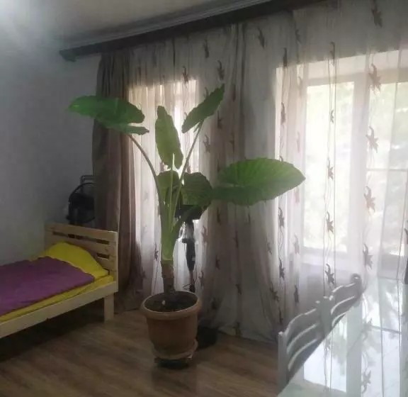 پانسیون Stairsguest House