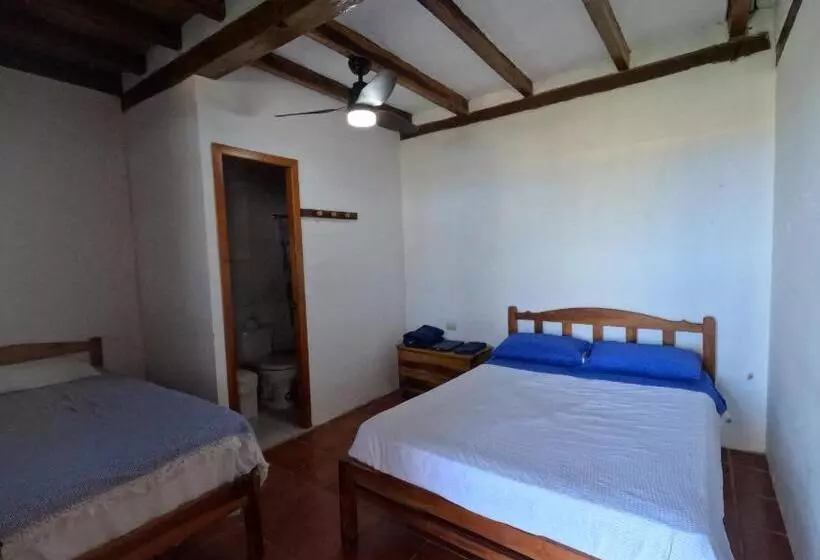 Majatalo Hostal Solemare