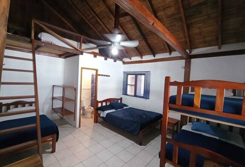 Pension Hostal Solemare