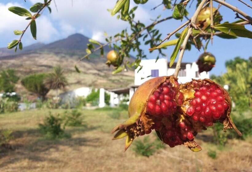 פנסיון The Lighthouse Room