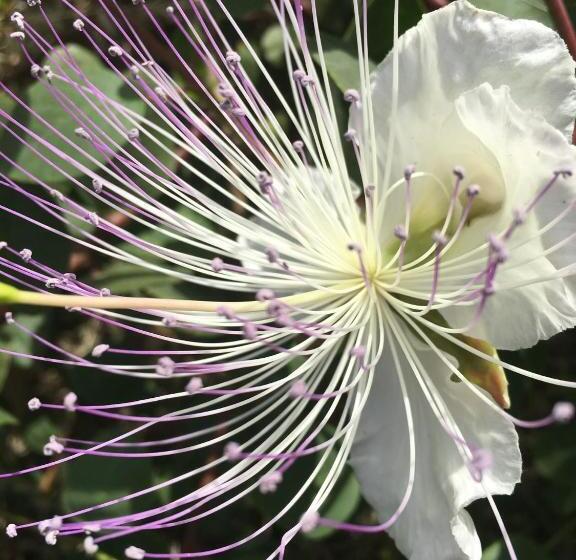פנסיון The Lighthouse Room